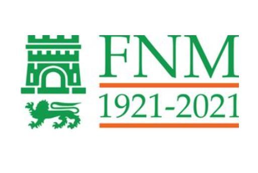 FNM100b