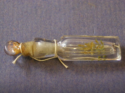 Perfume Bottle