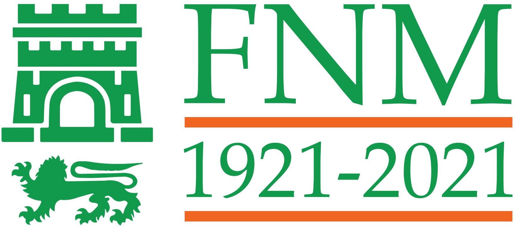 FNM100 logo